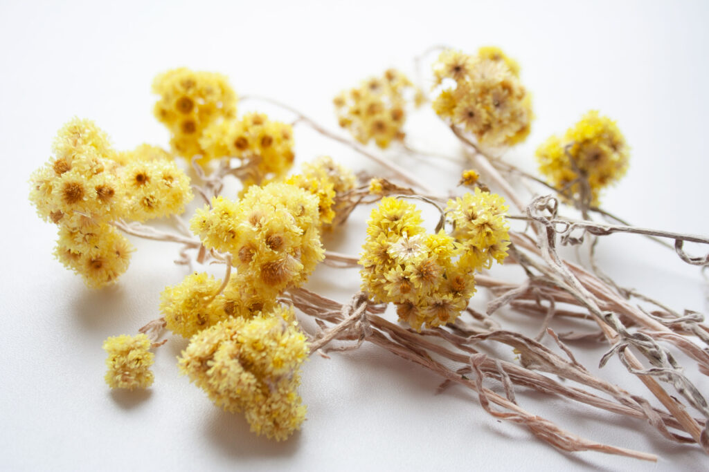 エンバーミング