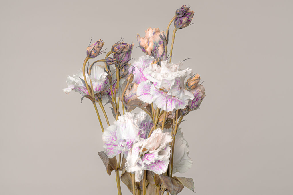 エンバーミング